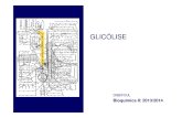 (03_ Glicólise [Modo de Compatibilidade]).pdf