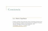 Lic. MArio Squillace - Conciencia