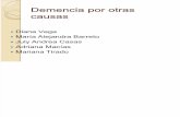 Demencia Por Otroas Causas- Exposición (Alteraciones) (1) (1)