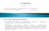 Manfaat Coral