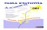 fiches d'activités CM1