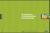 Introduçao a Organizaçao Empresarial