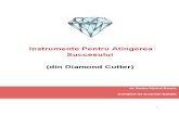 Principii Succes Diamond Cutter
