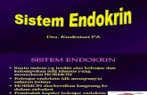 PPT Histologi Sistem Endokrin