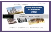 GIS Summer Training Report