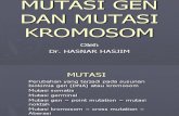Mutasi Gen Dan Mutasi Kromosom