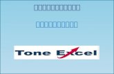 Tone Excel 华文分享 Slide