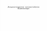Asporogene Anaerobne Bakterije
