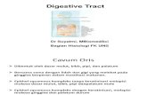 Kuliah Histologi Tractus Digestivus - Dr. Suyatmi_ MBiomedSc