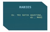 Rabies Malaria Influenza