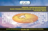 Profil Kependudukan Dan Pembangunan Di Indonesia Tahun 2013