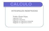 Integral Indefinida PPT