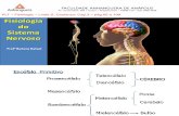 3Aula Fisiologia Sistema Nervoso Central
