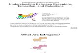 Understanding Estrogen Receptors
