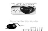 Anatomia Fisiologia Cardiovascular ETognarelli
