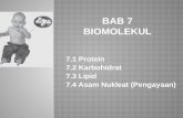 Bab 7 Biomolekul