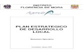 Plan de Desarrollo Estrategico Local - Florencia de Mora 2015