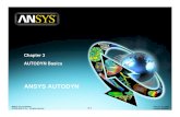 Autodyn Basics