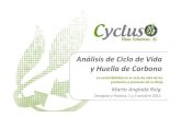 Cyclus Vitae 38677