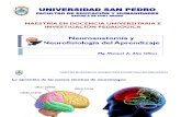 Neuroanatomia y Neurofisiologia del Aprendizaje.pdf