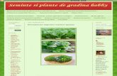 Seminte Si Plante de Gradina Hobby_ Komatsuna-Japonez Mustar Spanac