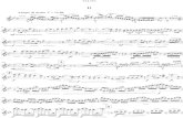 Sibelius Violin Concerto - Flute arrangement