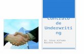 Parte 07 - Contrato de Underwriting