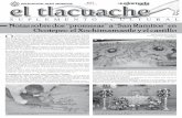 140511 Tlacuache