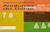 Anatomia Do Dente - Carlos Madeira - 5ED