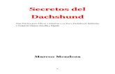 Secretos del Dachshund.pdf