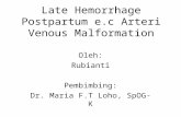 Late Hemorrhage Postpartum