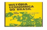 Historia Economica Do Brasil
