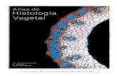 Atlas de histología vegetal.pdf