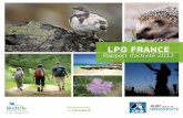 LPO - Rapport d'activité 2013