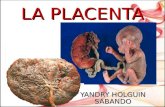 Expo Placenta