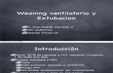 Weaning Ventilatorio y Extubacion