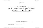 Ky Sinh Trung Thuc Hanh