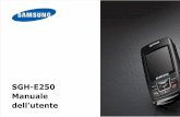Manuale Samsung Sgh e250