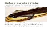 Eclere de Ciocolata
