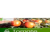Infulencias Climaticas Do Tomaterio
