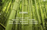 Material Bambu