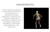Planos y Movimientos Anatomicos