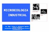 1 Microbiologia Industrial 2010