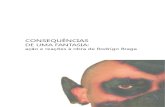 Monografia Rodrigo Braga Fernanda Barroso