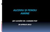 Curs de Pregatire Alcooli Fenoli Amine 2013