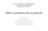 Risque Sanitaire Lies Au Plomb, Dr Laid - l’INSP