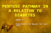 Group 2-Biochemistry-pentose Pathway in a Relation to Diabetes