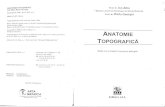 Anatomie Topografica Ion Albu Bucuresti 1998