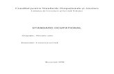 Mecanic Auto_standard Ocupational