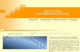 acidos carboxilicos 2009